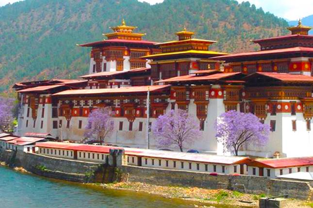 Himalayan Trekking Adventure